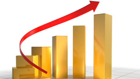 Hi Pest Solution Services