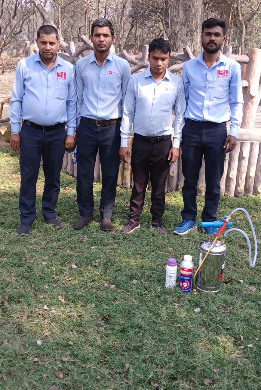 Hi Pest Solution Services