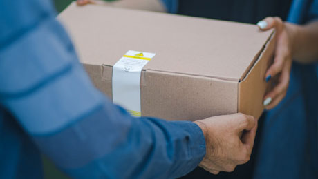 Hi Pest Solution Services